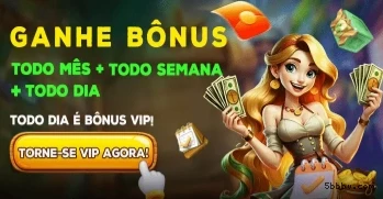 Interface Premium 5Bbb